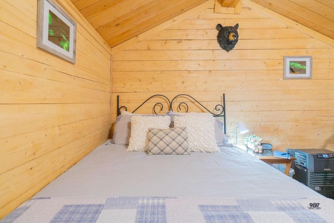 Studio Log Dry Cabin| Aurora Views! 페어뱅크스 외부 사진